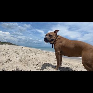 Meet your Posher, Lydia